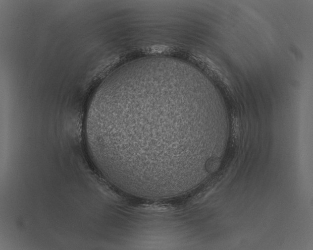 X0000116610545200912241735