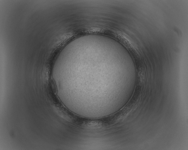 X0000116610546200912241735