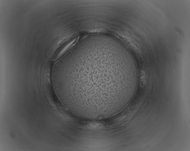 X0000116610547200912241735