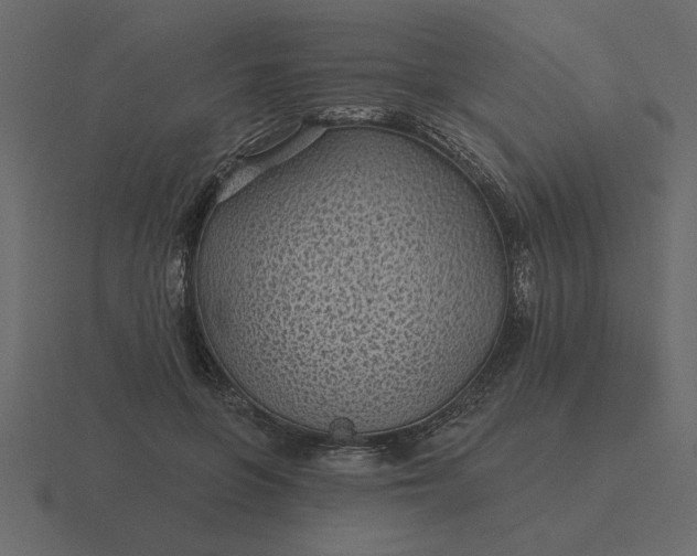 X0000116610551200912241735