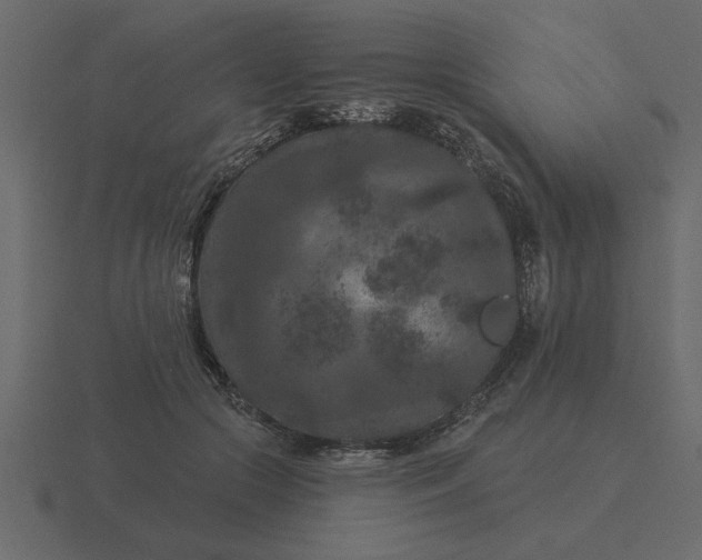 X0000116610553200912241735