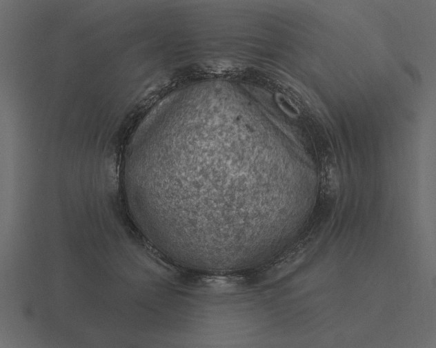 X0000116610558200912241735