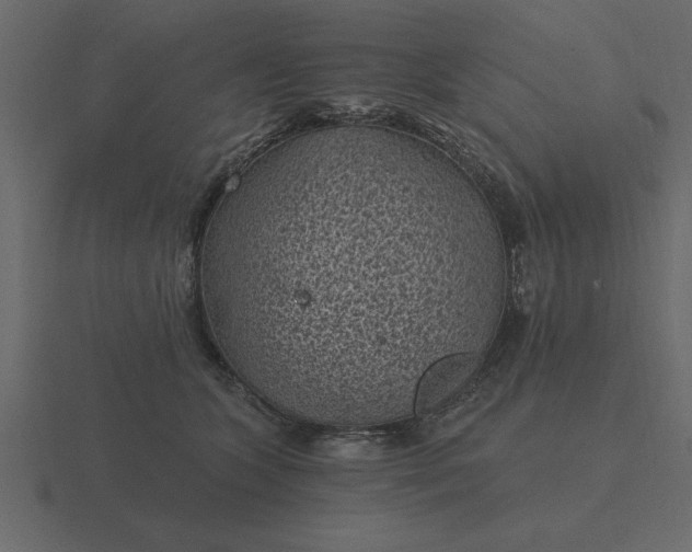 X0000116610563200912241735