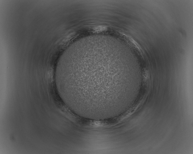 X0000116610565200912241735