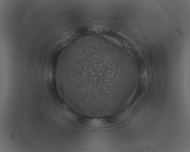 X0000116610566200912241735