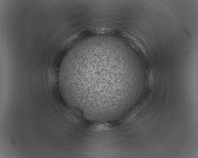 X0000116610569200912241735