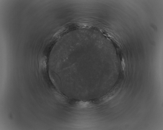 X0000116610570200912241735