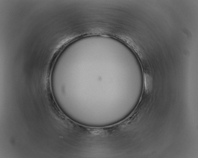 X0000116610579200912241735