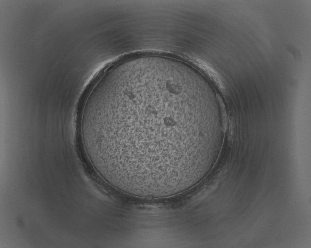 X0000116610580200912241735