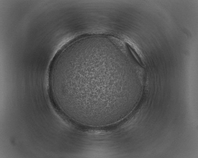 X0000116610582200912241735