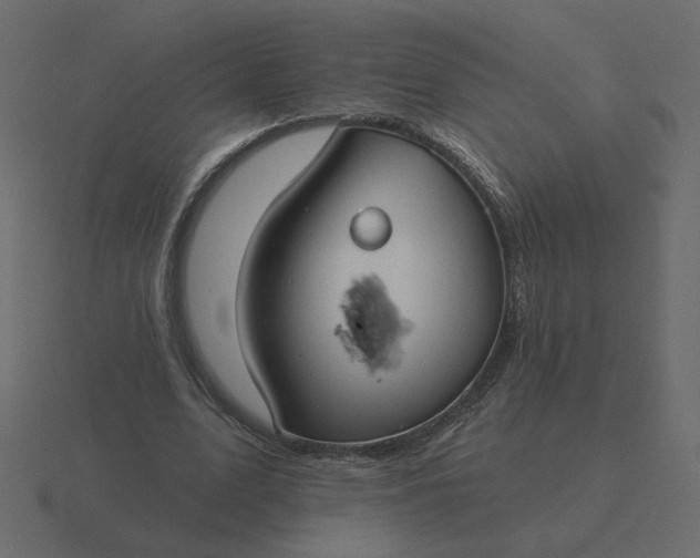 X0000116610583200912241735