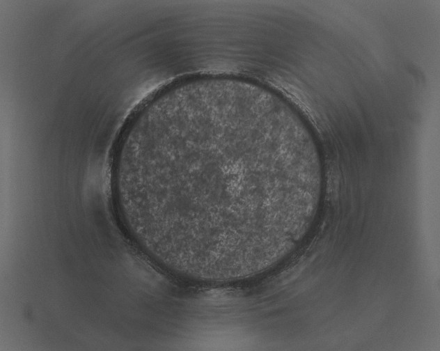 X0000116610584200912241735