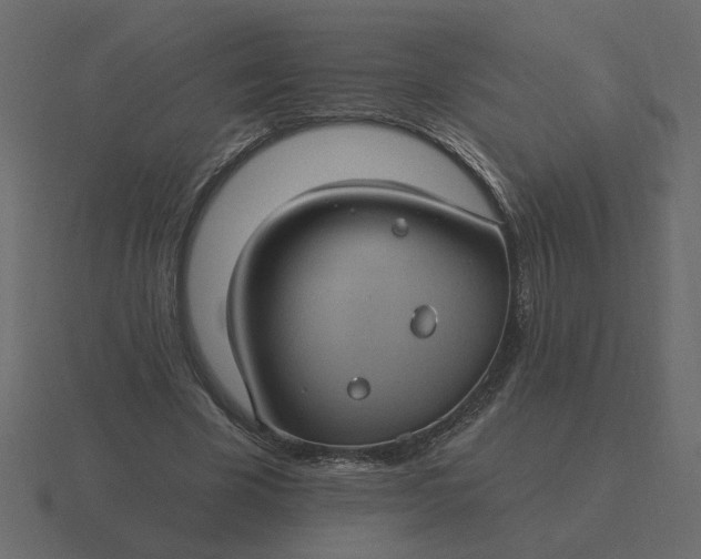 X0000116610585200912241735