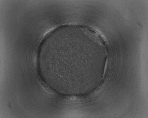 X0000116610588200912241735