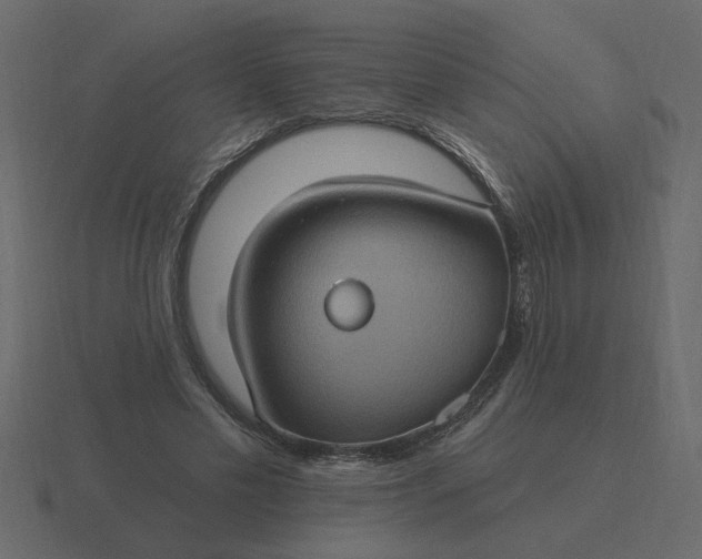 X0000116610589200912241735