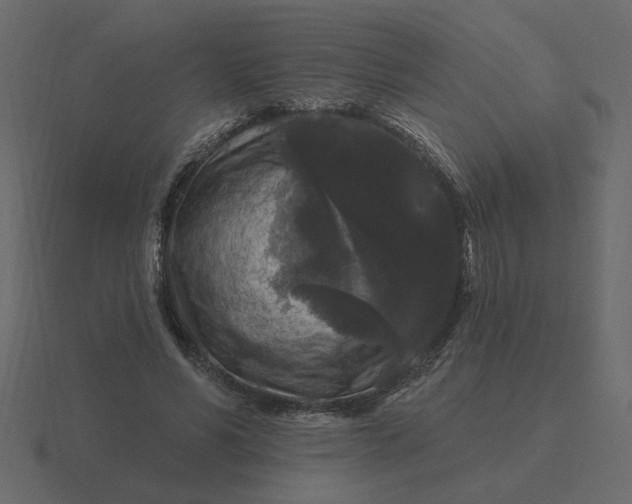 X0000116610590200912241735