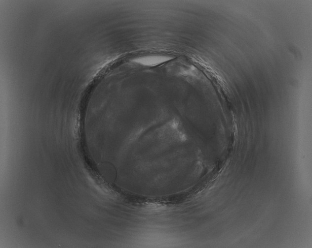 X0000116610592200912241735