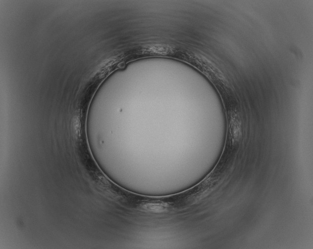 X0000116610595200912241735