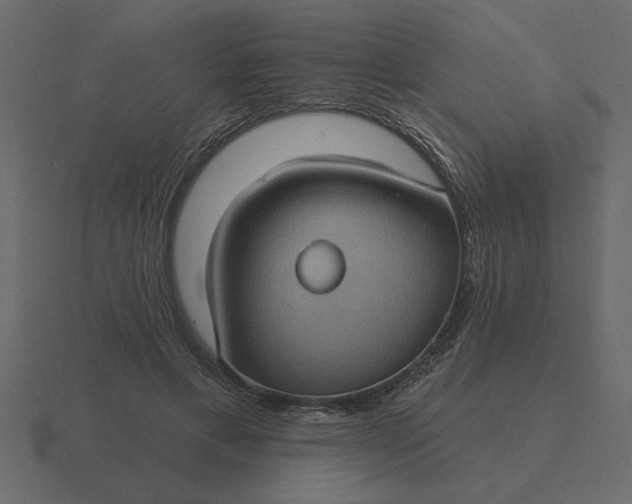 X0000116610597200912241735