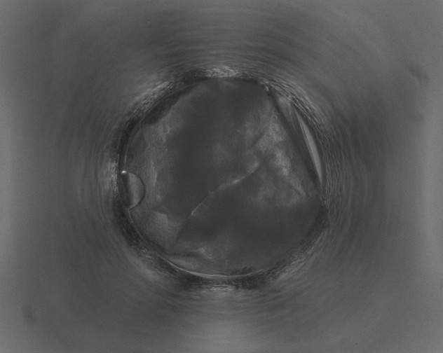 X0000116610598200912241735