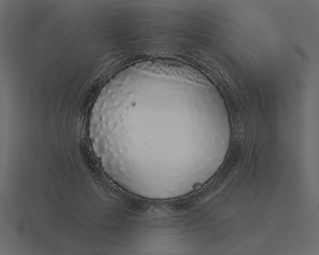 X0000116610599200912241735