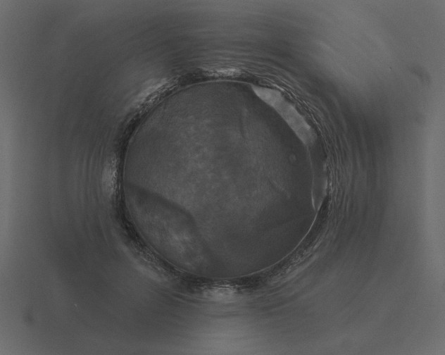 X0000116610600200912241735