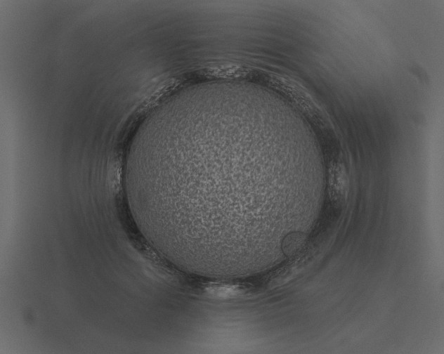 X0000116610602200912241735