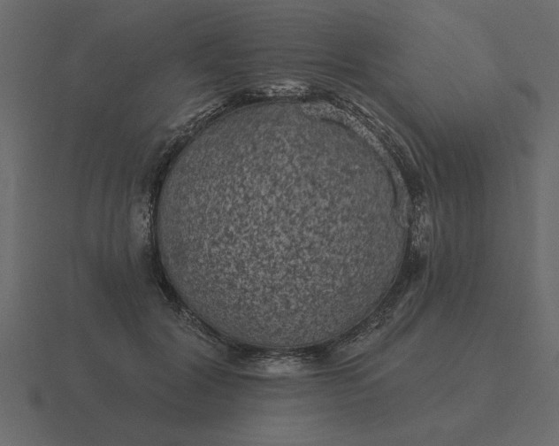 X0000116610604200912241735