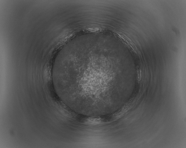 X0000116610606200912241735