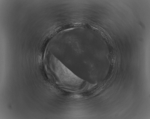 X0000116610610200912241734