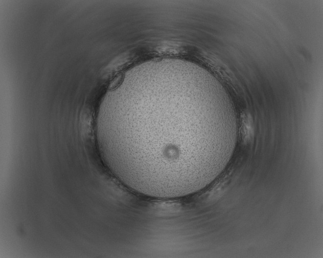 X0000116610619200912241734