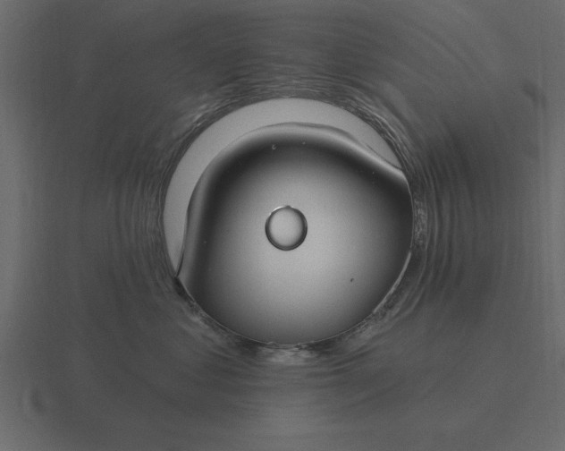 X0000116610621200912241734