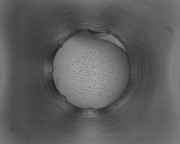 X0000116610624200912241734