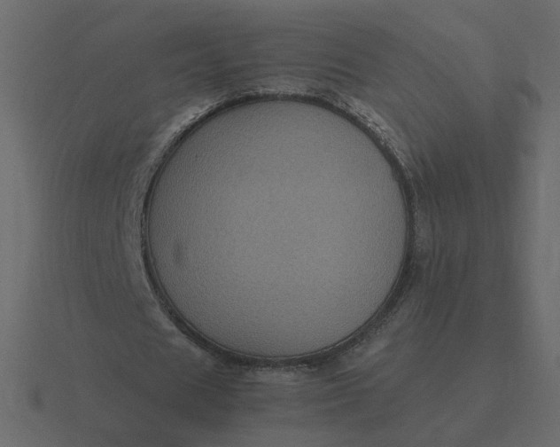 X0000116610625200912241734