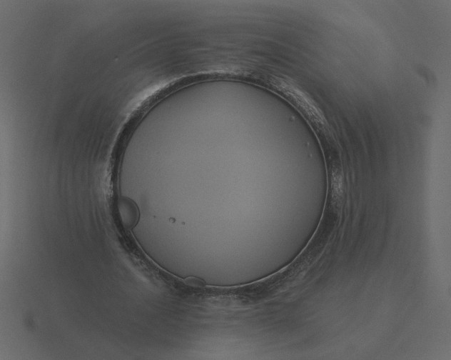 X0000116610628200912241734