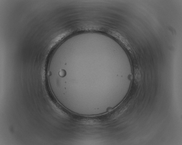 X0000116610629200912241734