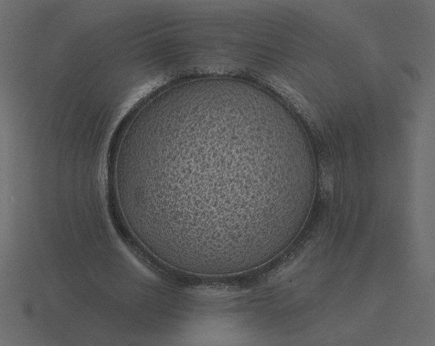 X0000116610630200912241734