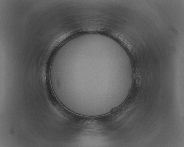 X0000116610631200912241734