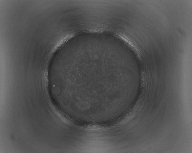 X0000116610634200912241734