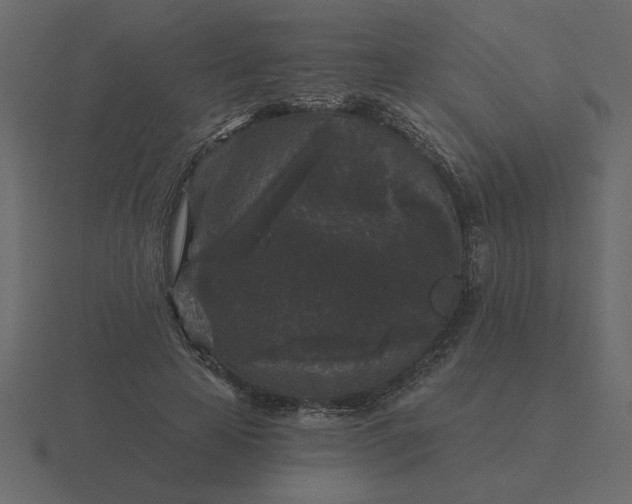 X0000116610641200912241734