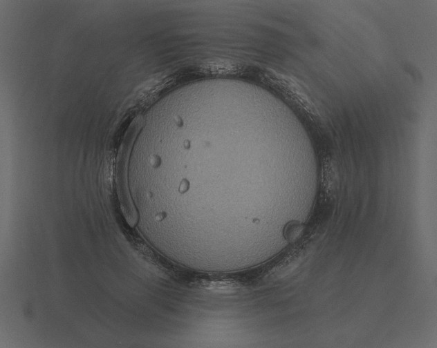 X0000116610645200912241734