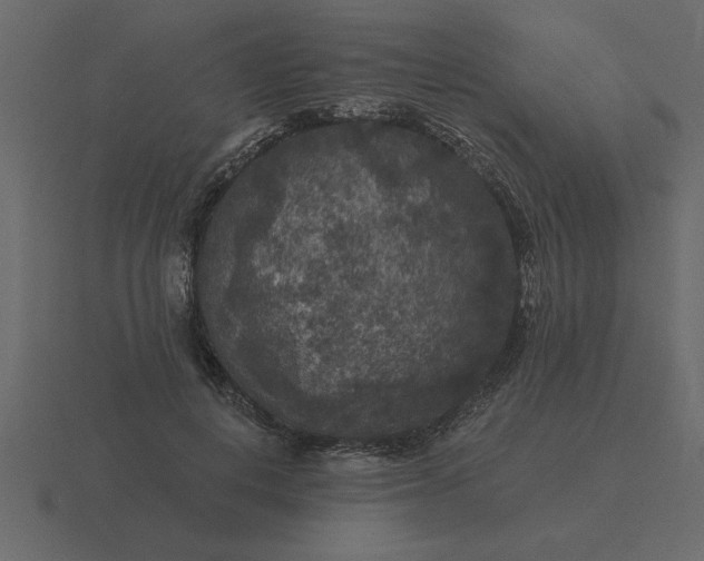 X0000116610648200912241734