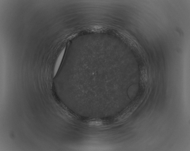 X0000116610653200912241734