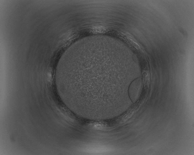 X0000116610655200912241734