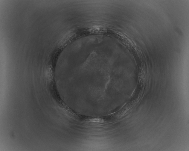 X0000116610659200912241734