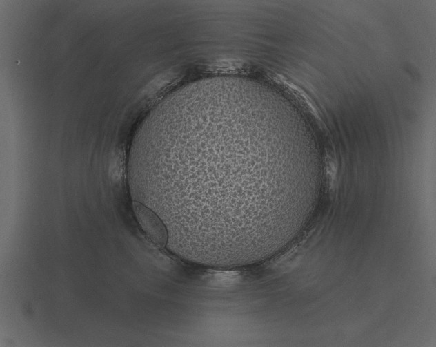 X0000116610665200912241734