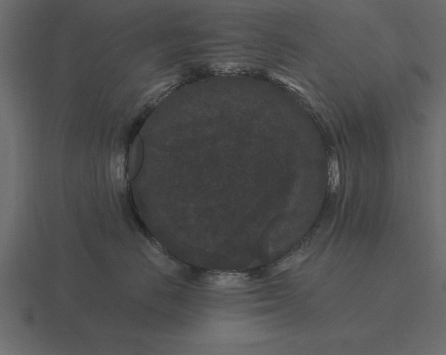 X0000116610670200912241734