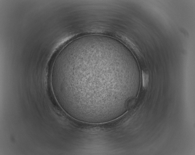 X0000116610675200912241734