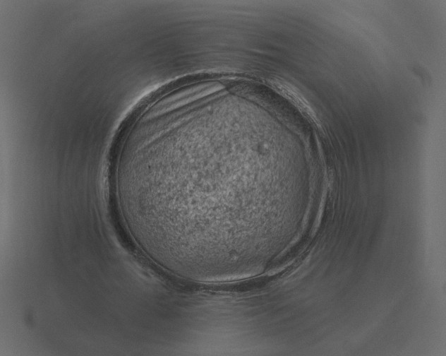 X0000116610676200912241734