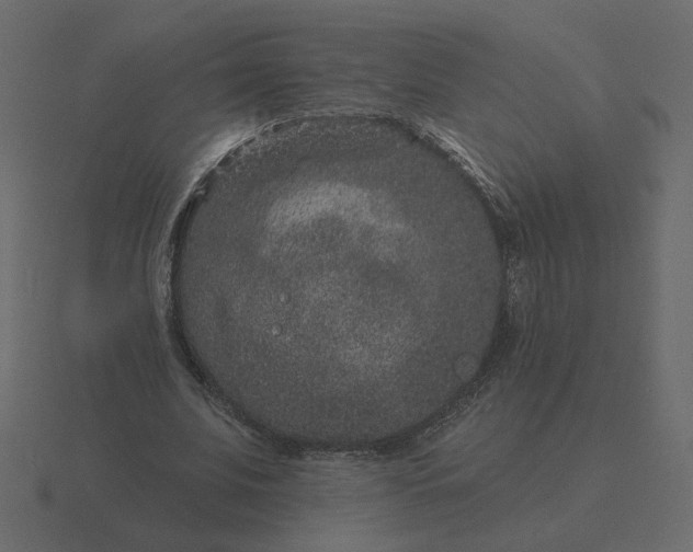 X0000116610679200912241734